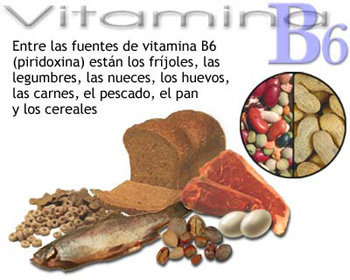 20090216 mgb Vitamina B6 .jpg