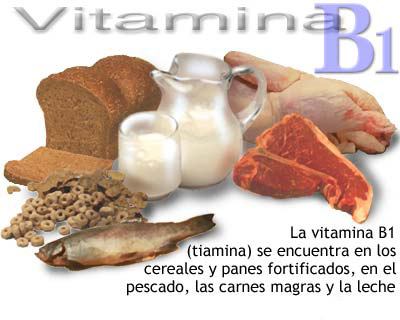 20110527 mgb Vitamina B1 .jpg